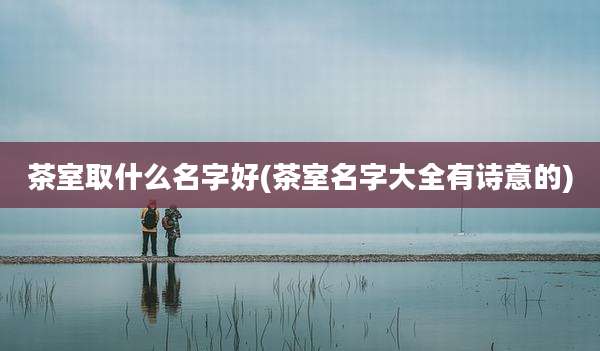 茶室取什么名字好(茶室名字大全有诗意的)