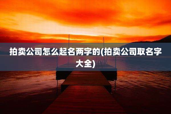 拍卖公司怎么起名两字的(拍卖公司取名字大全)