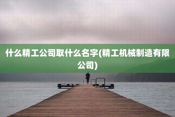 什么精工公司取什么名字(精工机械制造有限公司)