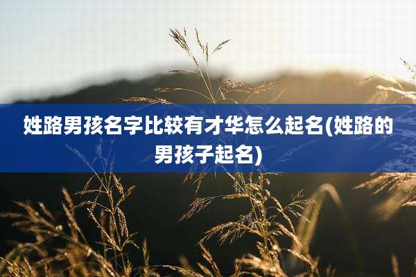 姓路男孩名字比较有才华怎么起名(姓路的男孩子起名)