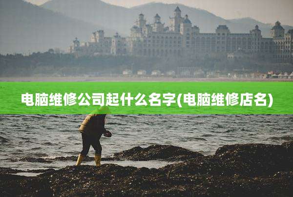 电脑维修公司起什么名字(电脑维修店名)