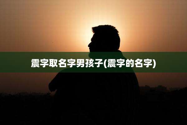 震字取名字男孩子(震字的名字)