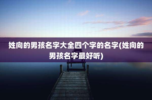 姓向的男孩名字大全四个字的名字(姓向的男孩名字最好听)