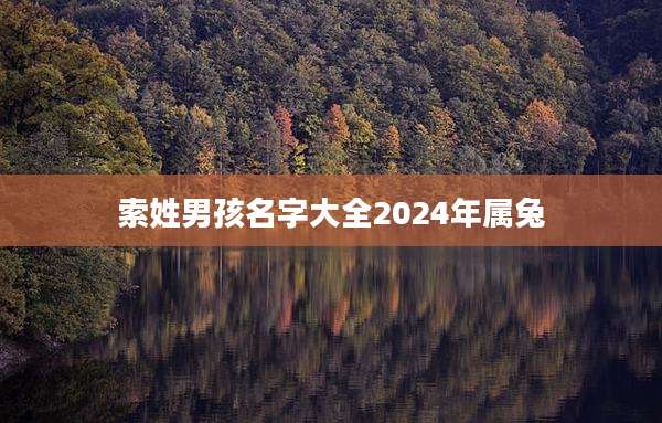 索姓男孩名字大全2024年属兔