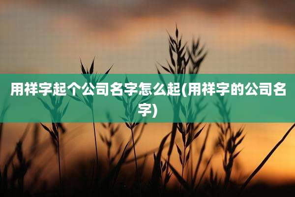 用祥字起个公司名字怎么起(用祥字的公司名字)