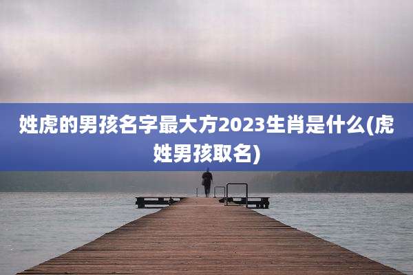 姓虎的男孩名字最大方2023生肖是什么(虎姓男孩取名)