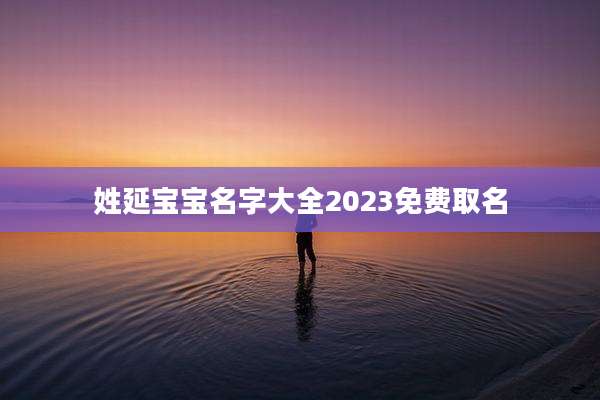 姓延宝宝名字大全2023免费取名