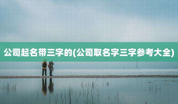 公司起名带三字的(公司取名字三字参考大全)
