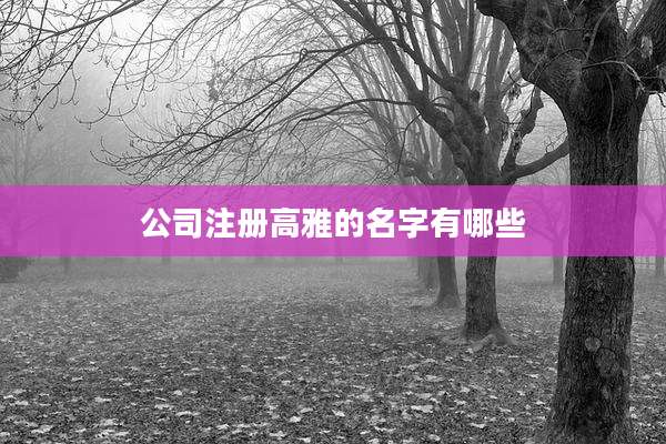 公司注册高雅的名字有哪些