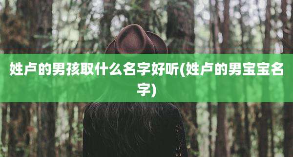 姓卢的男孩取什么名字好听(姓卢的男宝宝名字)