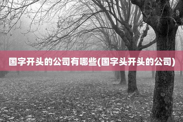 国字开头的公司有哪些(国字头开头的公司)