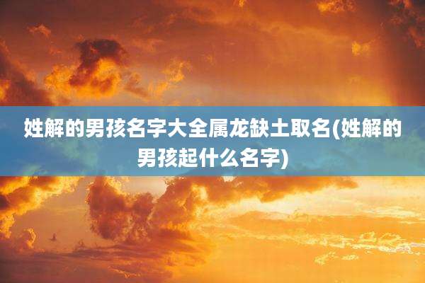 姓解的男孩名字大全属龙缺土取名(姓解的男孩起什么名字)