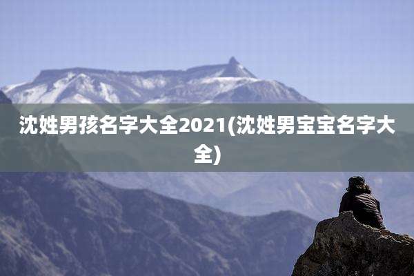 沈姓男孩名字大全2021(沈姓男宝宝名字大全)