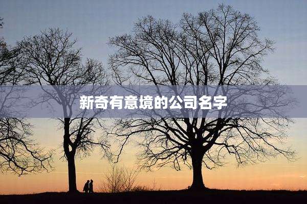 新奇有意境的公司名字