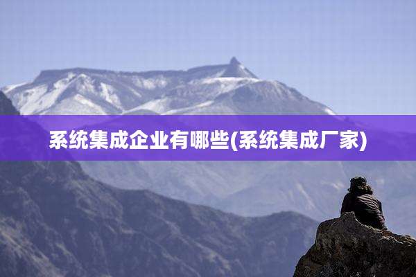 系统集成企业有哪些(系统集成厂家)