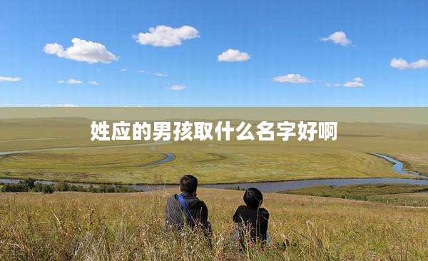 姓应的男孩取什么名字好啊