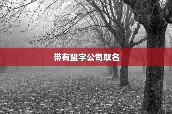 带有盟字公司取名