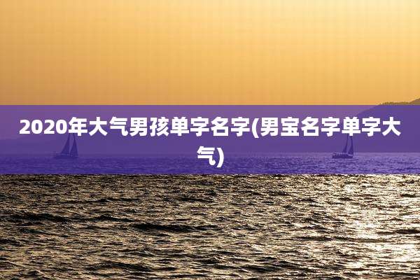 2020年大气男孩单字名字(男宝名字单字大气)