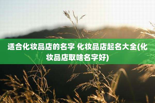 适合化妆品店的名字 化妆品店起名大全(化妆品店取啥名字好)