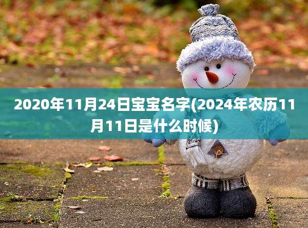 2020年11月24日宝宝名字(2024年农历11月11日是什么时候)