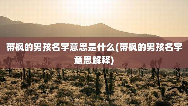 带枫的男孩名字意思是什么(带枫的男孩名字意思解释)