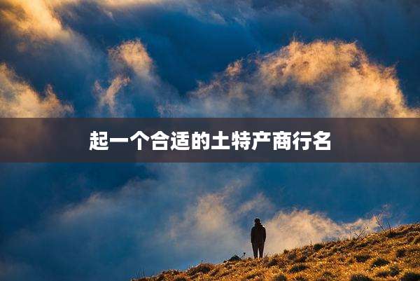 起一个合适的土特产商行名