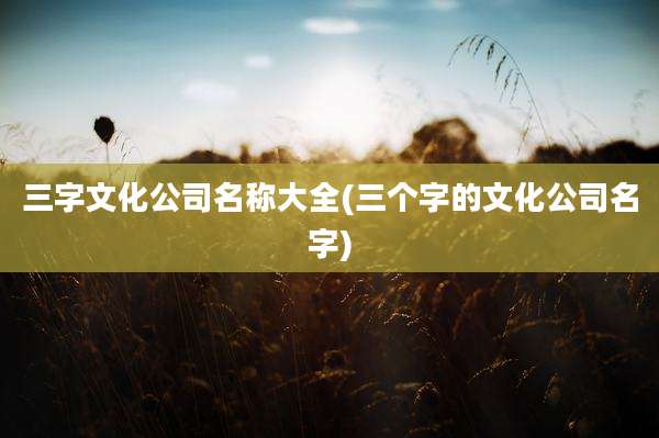 三字文化公司名称大全(三个字的文化公司名字)