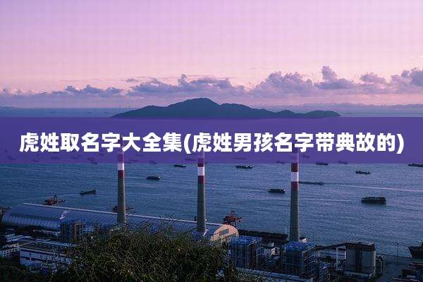 虎姓取名字大全集(虎姓男孩名字带典故的)