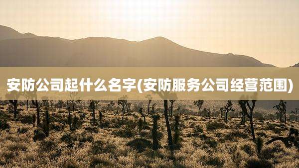 安防公司起什么名字(安防服务公司经营范围)