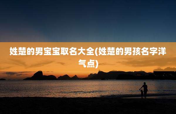 姓楚的男宝宝取名大全(姓楚的男孩名字洋气点)