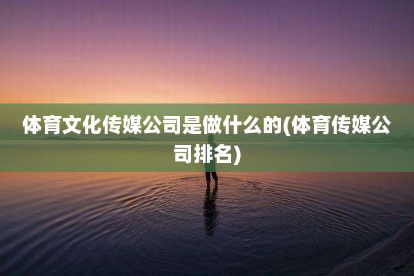 体育文化传媒公司是做什么的(体育传媒公司排名)