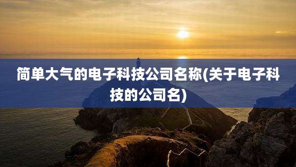 简单大气的电子科技公司名称(关于电子科技的公司名)