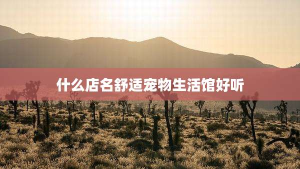 什么店名舒适宠物生活馆好听