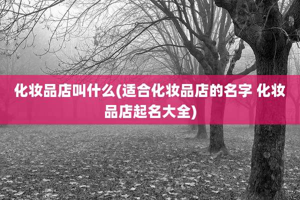 化妆品店叫什么(适合化妆品店的名字 化妆品店起名大全)