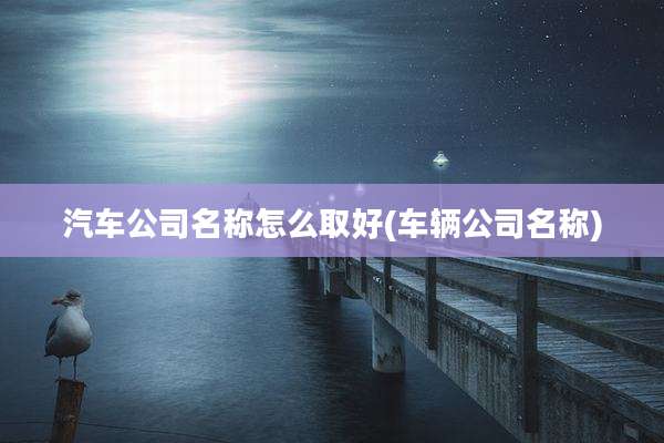 汽车公司名称怎么取好(车辆公司名称)