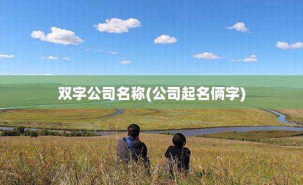 双字公司名称(公司起名俩字)