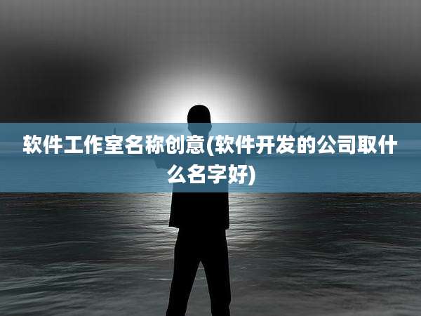 软件工作室名称创意(软件开发的公司取什么名字好)