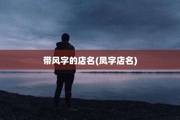 带风字的店名(凤字店名)