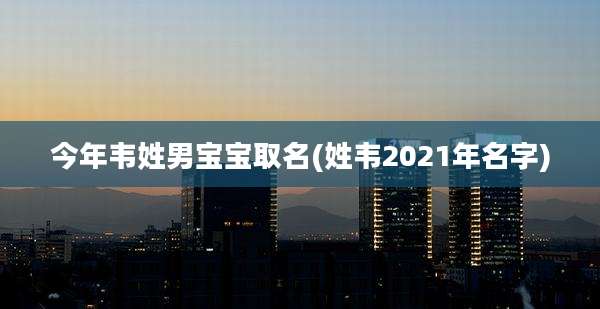 今年韦姓男宝宝取名(姓韦2021年名字)