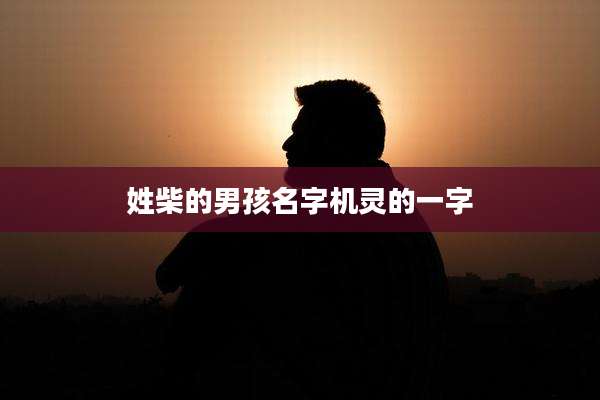 姓柴的男孩名字机灵的一字