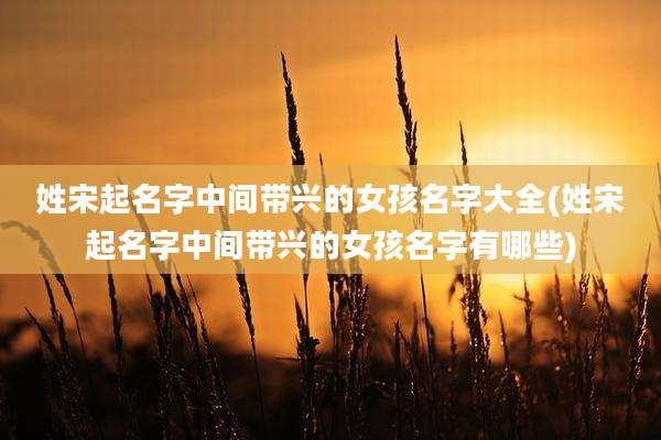 姓宋起名字中间带兴的女孩名字大全(姓宋起名字中间带兴的女孩名字有哪些)