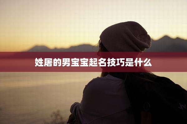 姓屠的男宝宝起名技巧是什么