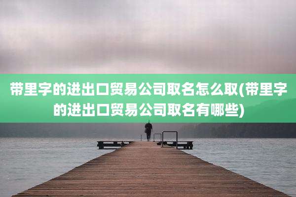 带里字的进出口贸易公司取名怎么取(带里字的进出口贸易公司取名有哪些)