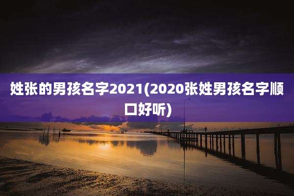 姓张的男孩名字2021(2020张姓男孩名字顺口好听)