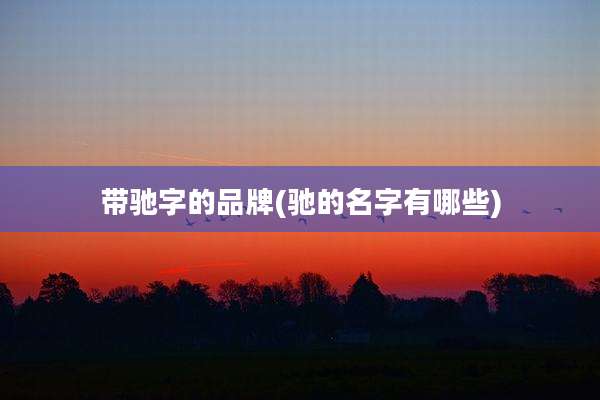 带驰字的品牌(驰的名字有哪些)