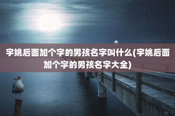 宇姚后面加个字的男孩名字叫什么(宇姚后面加个字的男孩名字大全)