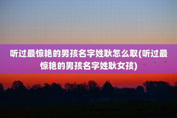听过最惊艳的男孩名字姓耿怎么取(听过最惊艳的男孩名字姓耿女孩)