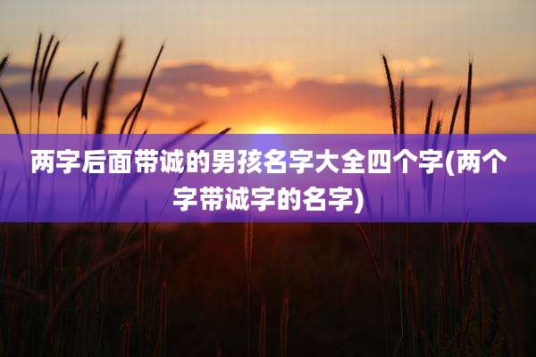 两字后面带诚的男孩名字大全四个字(两个字带诚字的名字)