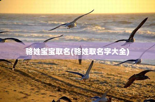 骆姓宝宝取名(骆姓取名字大全)