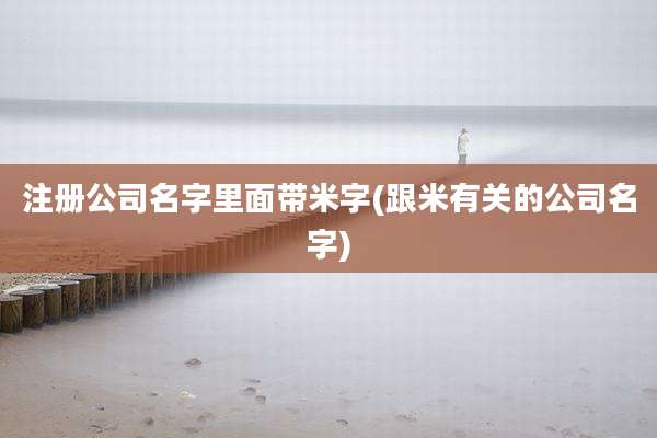 注册公司名字里面带米字(跟米有关的公司名字)